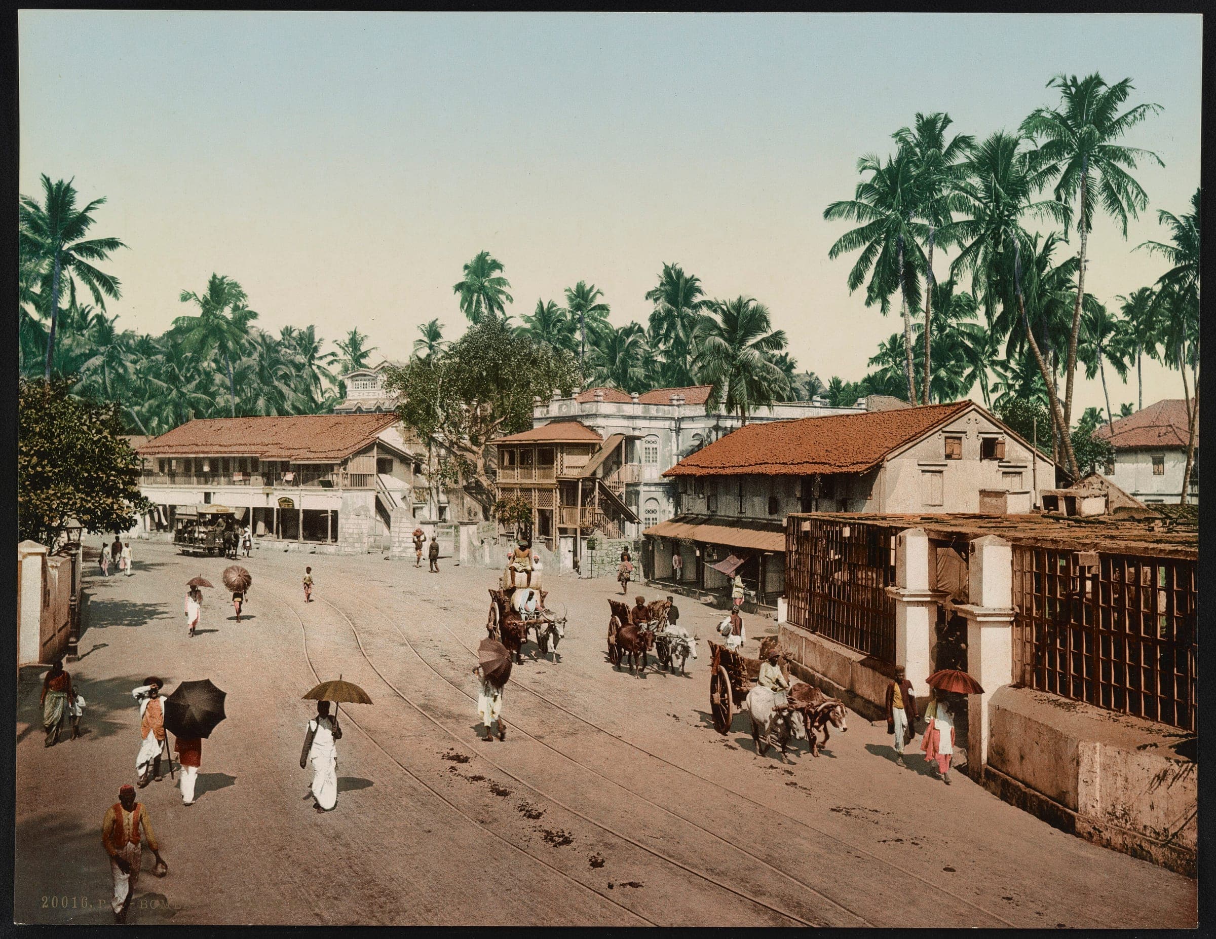 Girgaum Road in the 1890s, with tram tracks, palm trees and people walking under umbrellas